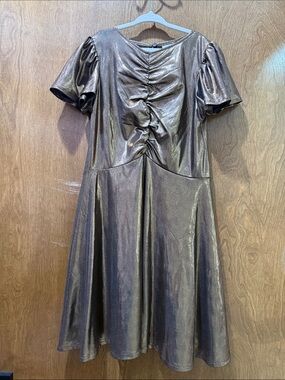 Zara Metallic Bronze Ruched A-Line Kids Dress